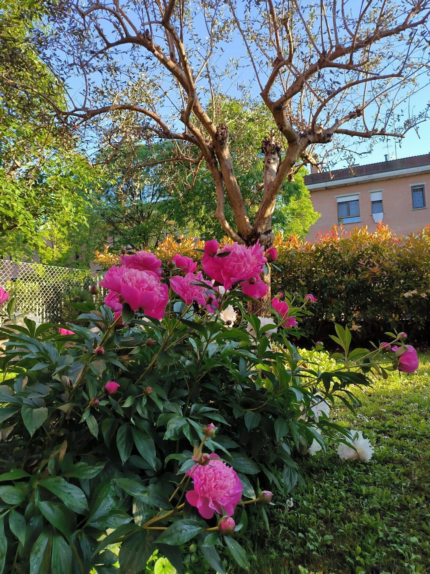 Apartamento Carla' S House Anzola dell'Emilia Exterior foto